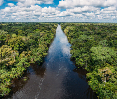 Amazon River Landscape, Peru