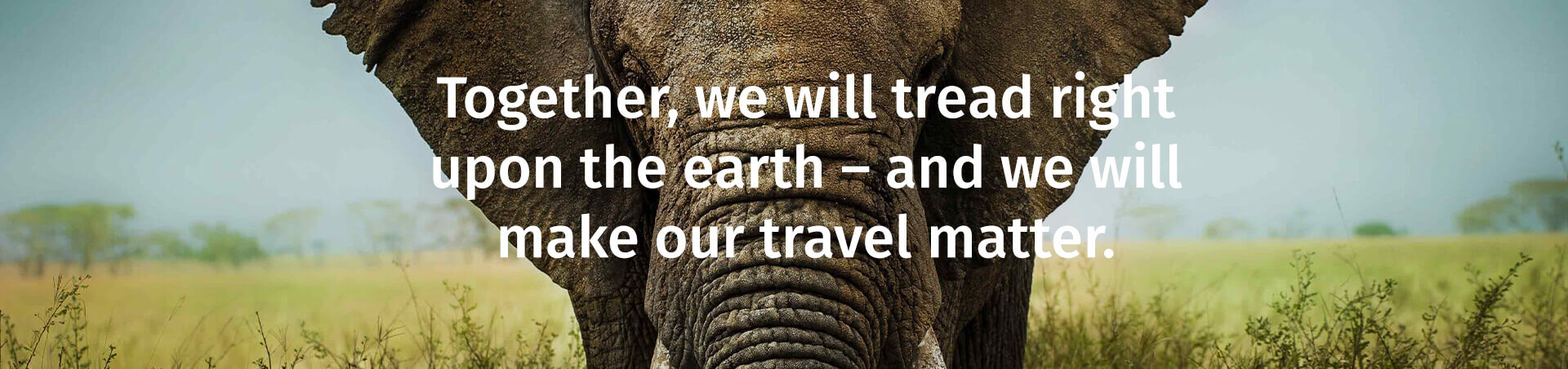 Make Travel Matter - Elephant Closeup
