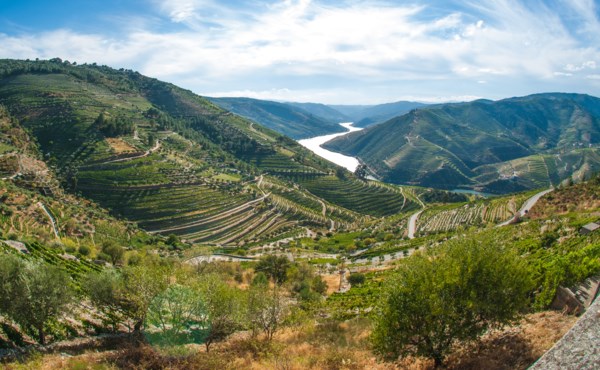 Douro River Valley 